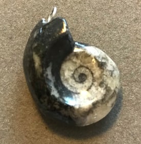 Gorgeous Prehistoric Ammonite Fossil Pendant