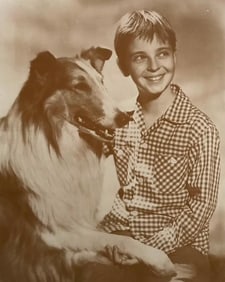 Vintage Television, Lassie And Timmy Photo Print