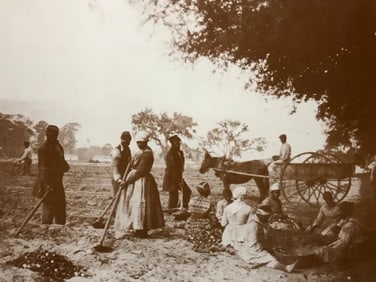 African American History, Civil War Plantation Slaves