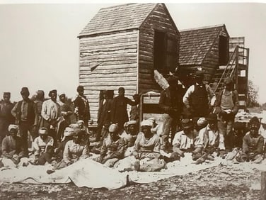 African American History, Slaves Sorting Cotton