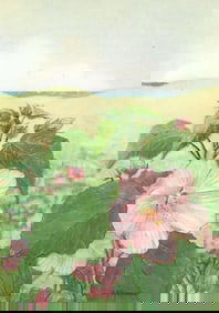 1920s Swamp Rose Color Lithograph Print