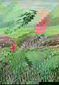 1920s Lady's Slipper Color Lithograph Print