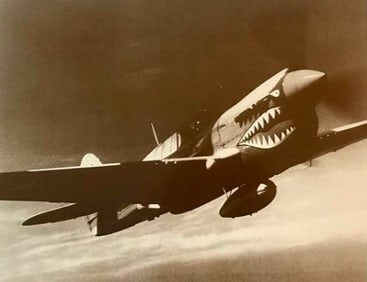 World War II Tiger Shark Photo Print