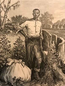 19thc Engraving, Southern Industry, Cotton