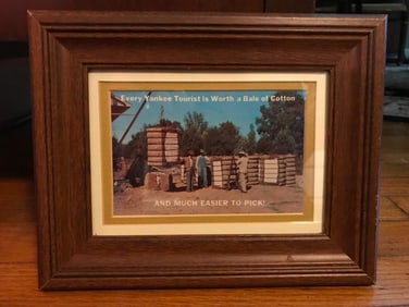 Mid Century Framed Southern Cotton Postcard
