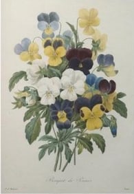 After Pierre-Jospeh Redoute, Floral Print, #97 Bouquet de Pansees (Pansies)