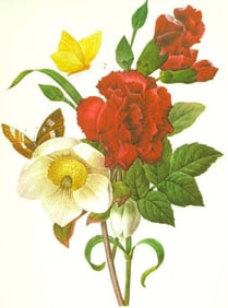 After Redoute, Floral Print, #35 Clove, Carnation, Christmas Rose