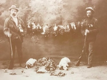 19thc Quail Hunters Photo Print