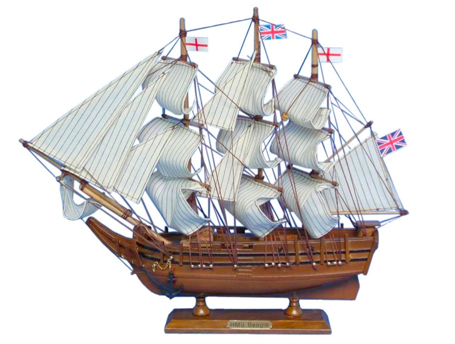 Charles Darwin's HMS Beagle Wooden Model Ship (1 of 4)