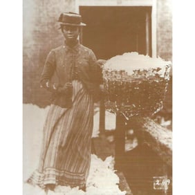 African American History, Slavery, Cotton Picker Photo