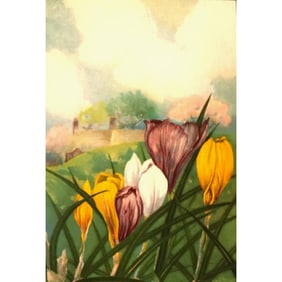 1920s Crocus Color Lithograph Print