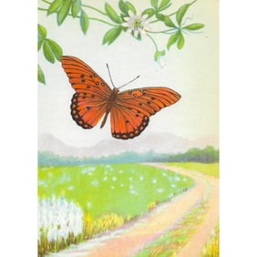 1920's Gulf Fritillary Butterfly Color Lithograph Print
