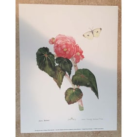 Limited Edition Print, Begonia, Cabbage White Butterfly