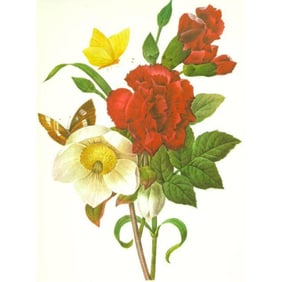 After Redoute, Floral Print, #35 Clove, Carnation, Christmas Rose