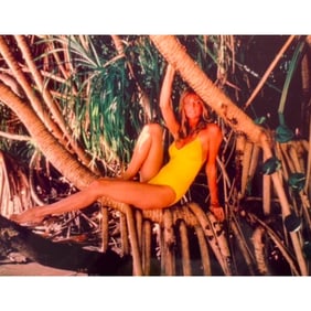Vintage Supermodel Cheryl Tiegs Color Photograph