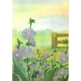 1920s Chicory Color Lithograph Print