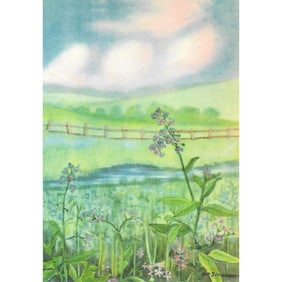 1920s Forget-Me-Not Color Lithograph Print