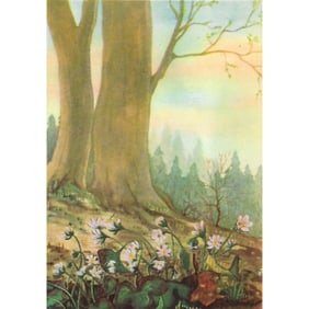 1920s Liverwort Color Lithograph Print
