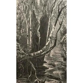 19thc Wood Engraving, Glen Creek Falls, New York