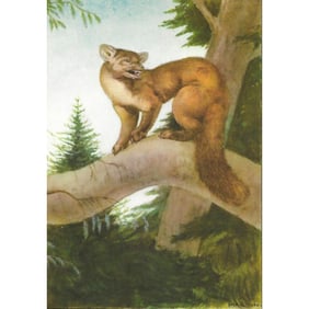 1920s Marten, Color Lithograph Print