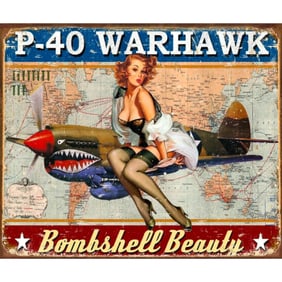 P-40 Warhawk Metal Pub Bar Sign