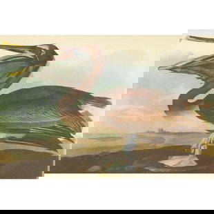 c1946 Audubon Print, #421 Brown Pelican: John James Audubon, book plate print, # 421 Brown Pelican, taken from a 1946 edition of "The Birds Of America." 8 1/2" X 11". Comes with 11" X 14" mat.