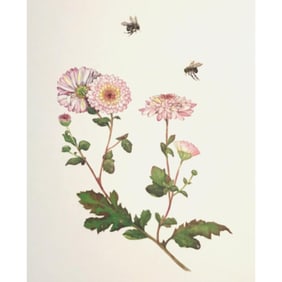 Limited Edition Print, Bumble Bees and Chrysanthemums