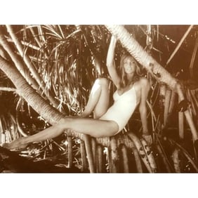 Supermodel Cheryl Tiegs Photo Print