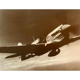 World War II Tiger Shark Photo Print