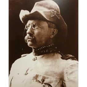 Theodore Roosevelt, Rough Riders Spanish American War