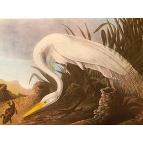 c.1946 Audubon Print, #386 American Egret