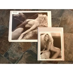 ACTRESS, PLAYBOY PLAYMATE SHANNON TWEED PHOTO PRINTS