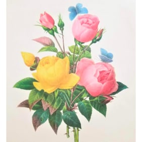 After Pierre-Jospeh Redoute, Floral Print, #127 Rose