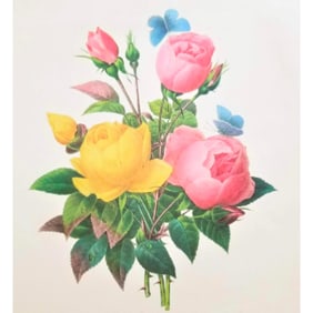 After Pierre-Jospeh Redoute, Floral Print, #127 Rose