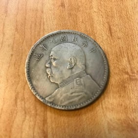 Rare 1920 National Republic of China Silver Fat Man Dollar Coin
