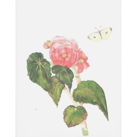 Limited Edition Print, Begonia and a Cabbage White Butterfly