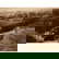 item-210470524=1