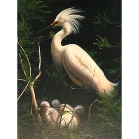 Snowy Egret Canvas Giclee Print