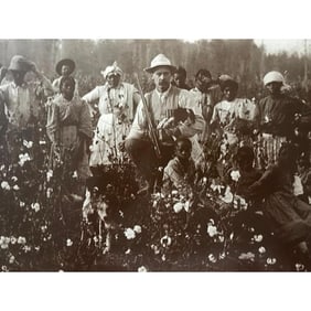 African American HIstory, Mississippi Cotton Pickers Photo Print