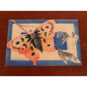 1905 Embossed Butterfly Postcard