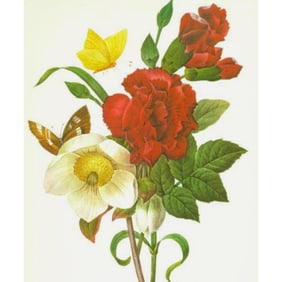After Pierre-Jospeh Redoute, Floral Print, #35 Clove, Carnation, Christmas Rose
