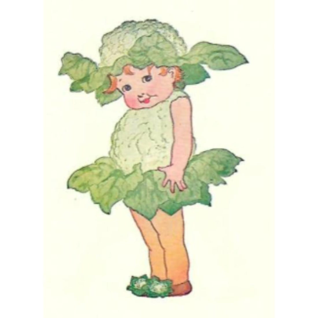 1914 Children's Prints, Cauliflower, The Mustard Children: 1914 children's bookplate prints, color lithographs from Mother Earth's Children by Elizabeth Gordon. Two prints ( front & back ) Cauliflower & The Mustard Children.Poems with each. 6" X 9".