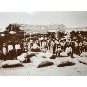19thc Galveston Texas Photo Print