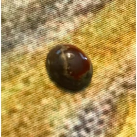 1.6ct Ethiopian Chocolate Shewa Opal