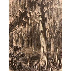19thc Engraving, Cypress Swamp