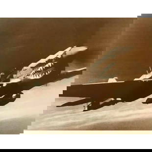 World War II Tiger Shark Photo Print: World War II Tiger Shark fighter plane sepia-tone photo print. Created in the early 1990s for The American Heritage Galleries. Printed on card stock, 11" X 14"