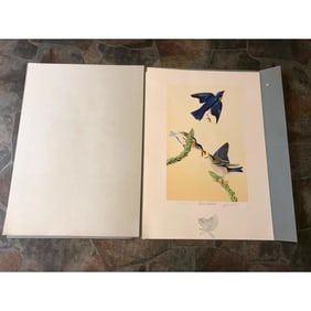 Audubon, Bernard Loates, Eastern Bluebird Limited Edition Large Print