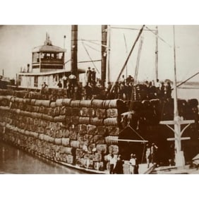 Cotton Barge Baton Rouge, Louisiana Photo Print