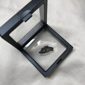Ancient Greece, 1-3rd Century Dolphin Proto Coin