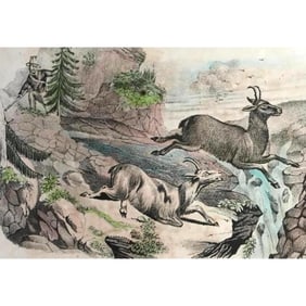 18thc Handcolored Engraving, Chamois Hunting
